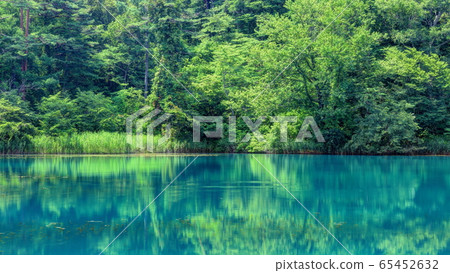 Bishamon Swamp 65452632