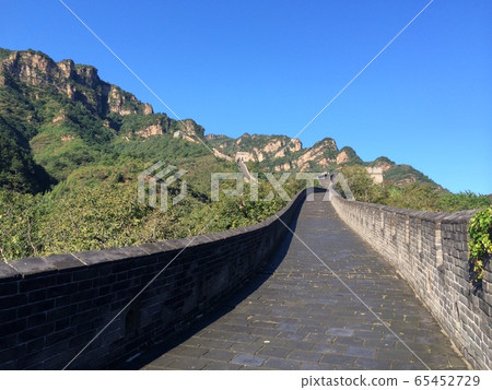 Great Wall 65452729