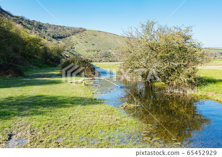 View of Cuckmere river, Sussex 65452929