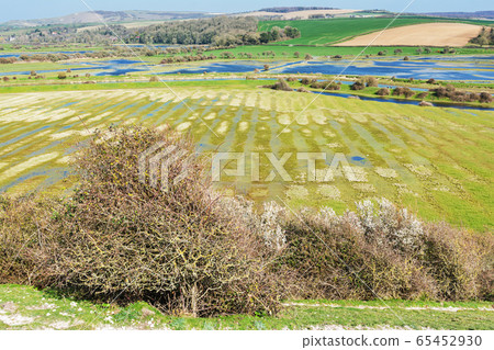 View of Cuckmere river, Sussex 65452930