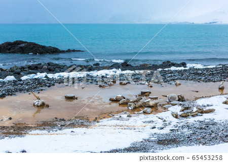 Antarctica, Beautiful landscape and scenery in  65453258