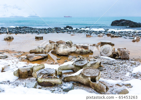 Antarctica, Beautiful landscape and scenery in Antarctica, Beautiful landscape and scenery in 65453263