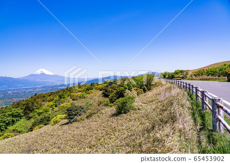 (靜岡縣)從伊豆天際線眺望的富士山 (靜岡縣)從伊豆天際線眺望的富士山 65453902