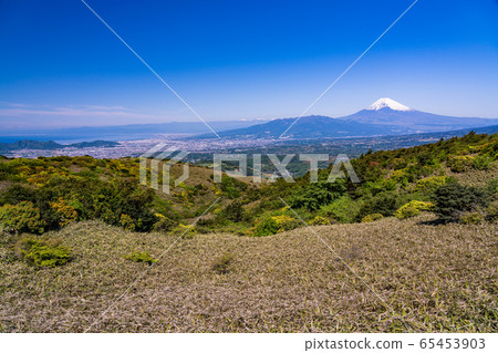 (Shizuoka Prefecture) Mt. Fuji seen from the Izu Skyline 65453903