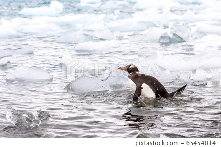 Beautiful landscape and scenery in Antarctica Beautiful landscape and scenery in Antarctica 65454014