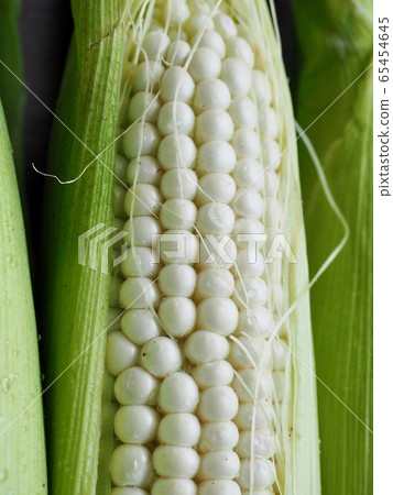 Korea's Fresh Organic Corn Korea's Fresh Organic Corn 65454645