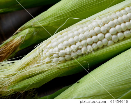 Korea's Fresh Organic Corn 65454646
