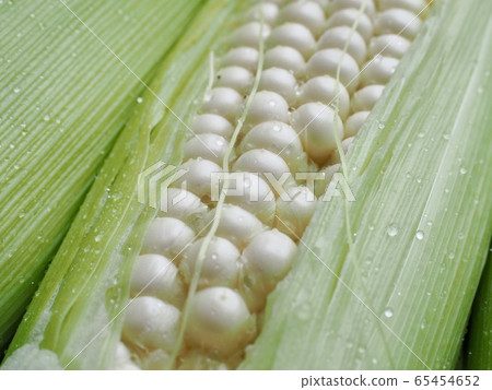 Korea's Fresh Organic Corn 65454652
