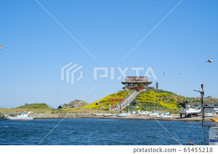 Kabushima in May 65455218