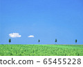 Summer hills and trees and sky 65455228