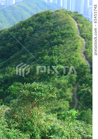 9 Nov 2008  The nature view of sai kung at Razor 65455748