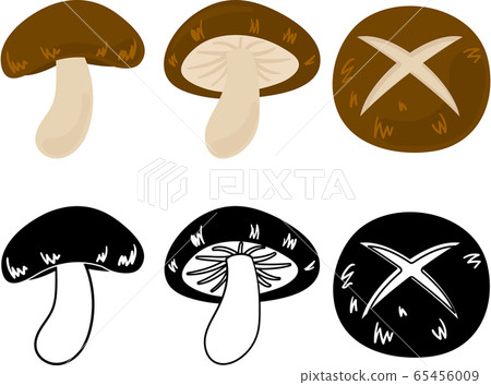 Cute shiitake icon - Stock Illustration [65456009] - PIXTA