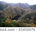 田園森林 65456076