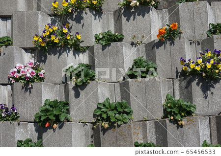 Sunny, block fence flower bed Sunny, block fence flower bed 65456533
