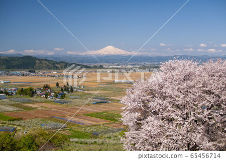 Cherry blossoms and Chokai Cherry blossoms and Chokai 65456714