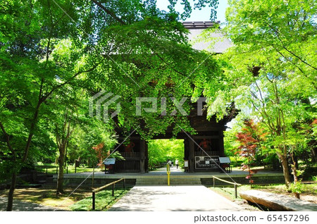 世田谷區Kumonbutsu Joshinji Sanmon(Niomon)和新鮮的綠化 世田谷區Kumonbutsu Joshinji Sanmon(Niomon)和新鮮的綠化 65457296