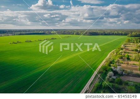 Beautiful green fields under the blue sky. Aerial view 65458149