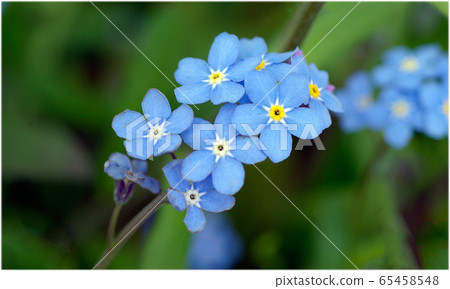 The calm atmosphere of forgetful grass is relaxing The calm atmosphere of forgetful grass is relaxing 65458548