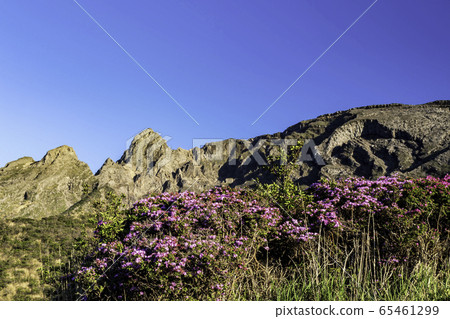 麻生太郎 65461299