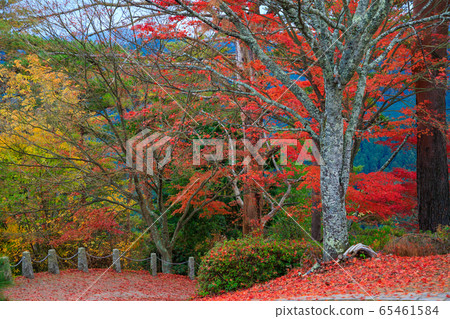 Yoshino Takashiroyama Observatory 65461584