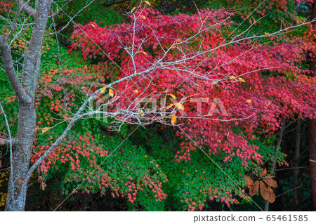Yoshino Takashiroyama Observatory 65461585