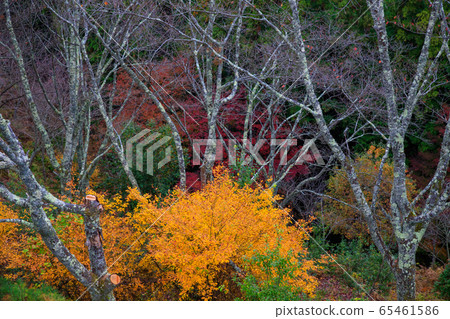 Yoshino Takashiroyama Observatory 65461586