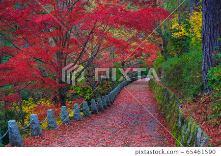 吉野高山城山天文台 65461590