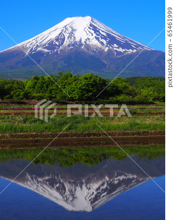 0514五月從富士吉田倒掛的富士山 照片素材 圖片 圖庫