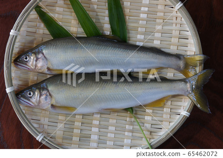 在籃子裡剛抓到的大魚_03 在籃子裡剛抓到的大魚_03 65462072