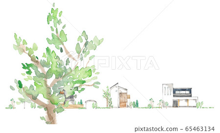 One roadside tree, design house, landscape One roadside tree, design house, landscape 65463134