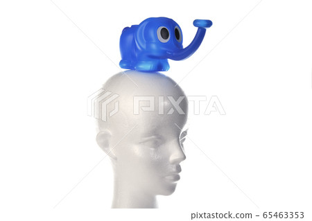 Elephant Jolo on the head 65463353