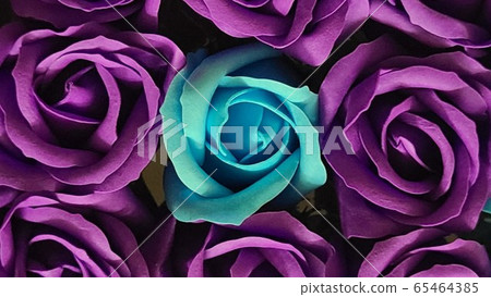 purple purple 65464385