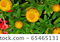 紙花 65465131