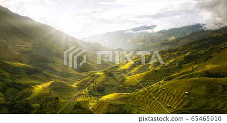 Green Rice fields on terraced in Muchangchai Green Rice fields on terraced in Muchangchai 65465910