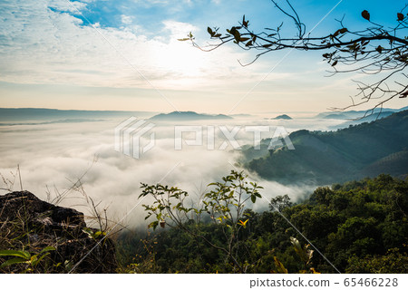 Sunrise and the mist in winter morning 65466228