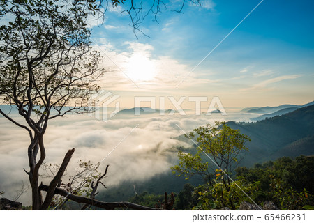 Sunrise and the mist in winter morning 65466231