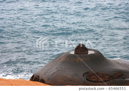 野柳燭台石 65466551