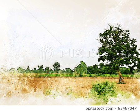 Abstract colorful shape on tree and field landscape watercolor illustration painting background. 65467047