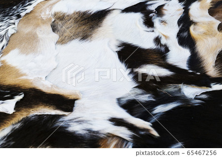 several treated goat skins several treated goat skins 65467256