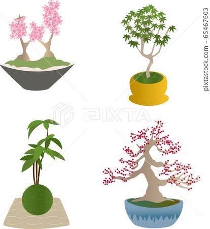 Four types of bonsai: cherry blossoms, autumn leaves, moss balls, and buckthorn 65467603