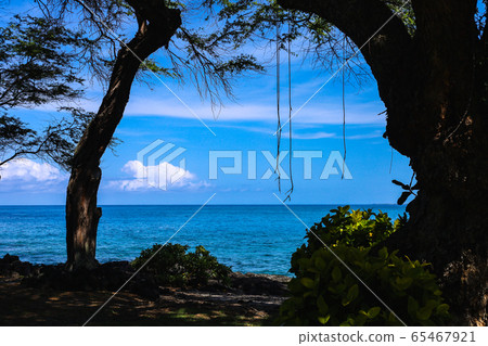 (Hawaii) Blue sea (Hawaii) Blue sea 65467921