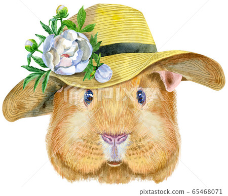 Watercolor portrait of Self guinea pig with summer Watercolor portrait of Self guinea pig with summer 65468071