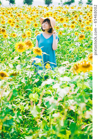 向日葵領域和婦女 65468082