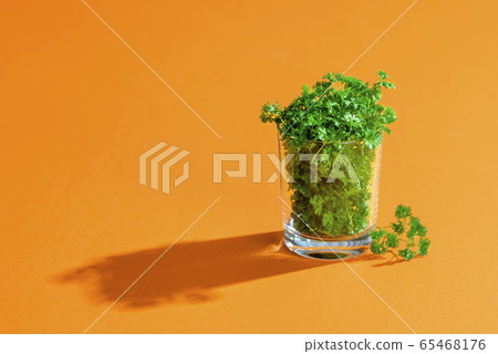 Parsley green leaves. Fresh herbal leaves in a Parsley green leaves. Fresh herbal leaves in a 65468176