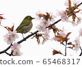 Mejiro 1 65468317