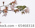 Mejiro 2 65468318