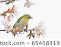 White-eye 3 65468319