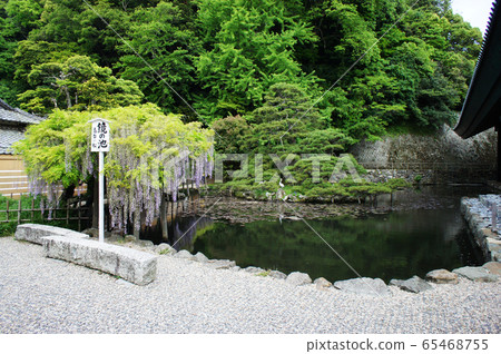 Izumo Taisha Shrine / Mirror Pond 65468755
