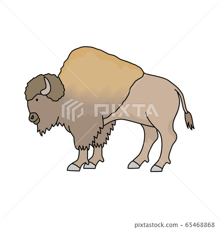 American Bison Stock Illustration