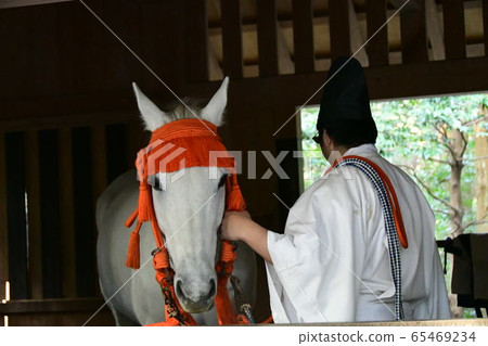 Ise Shrine Geku Jinma 65469234